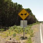 Wilson Promontory Park